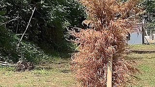 Lost the Game - Find the Guy for Cumwalk and Outdoor Sex