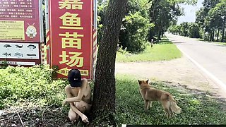 Blond amateur girlfriend outdoor hardcore
