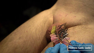 107 Needles CBT