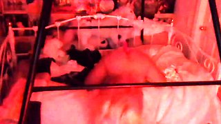 Amateur Hidden Cam
