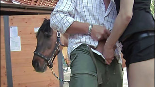 Him, His Lover and His Friend: Threesome in the Stable