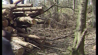 Shaving Session with a German Mature Lady Who Likes to Put Things up His Ass