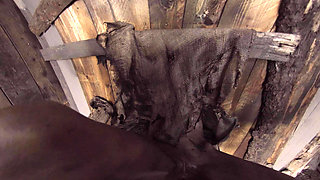 X Virtual 19 the Monster From the Woods 180°