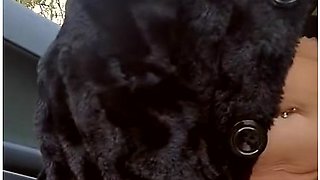 Risky Outdoors Squirting With Passing Car Surprise - British Mature Pov Stepmom