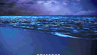 Dominos Beach 6: Jhon Night Surfing First Time & Zoe Cave Hookup