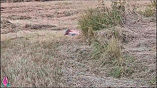18 Year Old Teen Has Fun with a Stranger in the Field - She Sucks and Fucks Outdoors and Earns a Juicy Load of Cum!