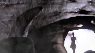 The Cave 3d Fantasy Animation Porn