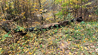 Open Your Jacket - Now - I Will Slap You Tits Now