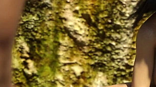 LISA #24b - The Falls with Gunnar - Porn games, 3d Hentai, Adult games, 60 Fps