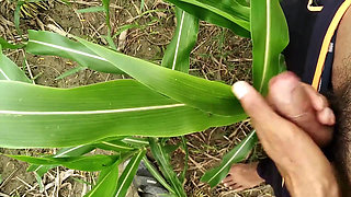 Big Cock Cumming on Field, Milk Cumshot