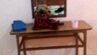 REVENTANDO CULO DE COLEGIALA DEL CETIS 53 XXX
