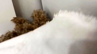 Teen blonde fucked hard after sniffing panties