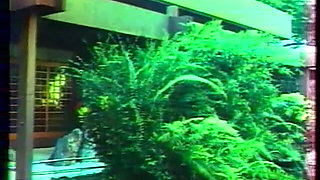 Jouissances Garanties (1978)