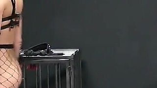 Toilet Trash
