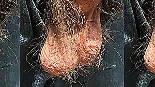 soft hairy flaccid cock close up