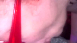 Swallow