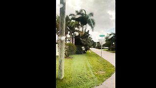 Fan Bus Valerica Steele Random Jogger Gets To Smash Baddie