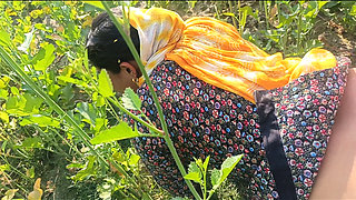 Village desi bhabhi fucked in mustard field in doggy style . Outdoor sex Desi bhabhi with dewar