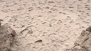 Marley Bee Sucks Dick at Ocean Beach in San Francisco
