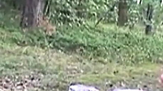 Rough Horny Threesome Sex Fat Ass Cougar Young Brunette: a Big Cock for Two Whores!!!