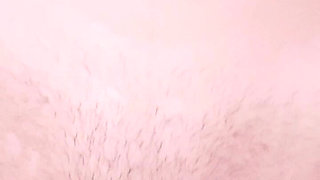 Stepdaddy's Fat Cock Fucks Tight Pussy Stepdaughter to Orgasm