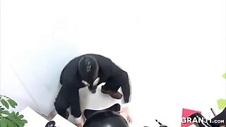 German spandex secretary