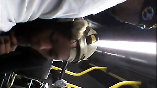 Brain's Blowjob on the Bus