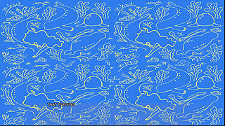 The Selkie (part 4)