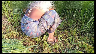Seeing the daughter-in-law yearning to be rolled in the field, the father-in-law said to the daughter-in-law, let's go home