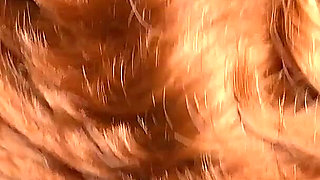 BJ Fun