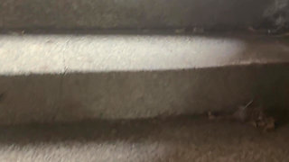 Pissing in the Underpass to the Bus Stop