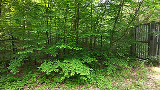 After Slapping Your Tits Let Me Punish Your Vagina