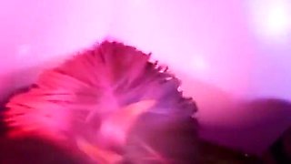 Eating a Witch's Ass