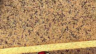 Fresh White Pedicure Available for Customs and Video Chat