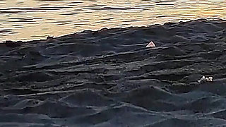 350 Flashing My Cock in Front of My Stepdaughter at Sunset in...elps Me Cumshot in Front of Everyone - Real Sex Risky