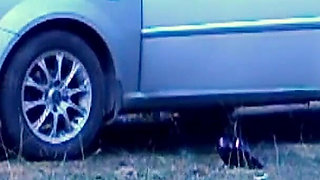 Sex Holiday in Forest