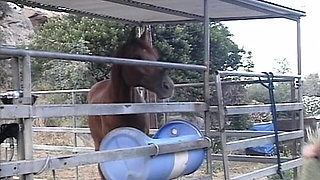 Fanny Farm (1996)