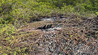 Rough Amateur Outdoor Blowjob and Facial