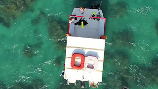 California Adventure - Lisi Parisi