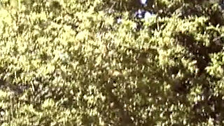 Big Boob MILF Screw Time Outdoors